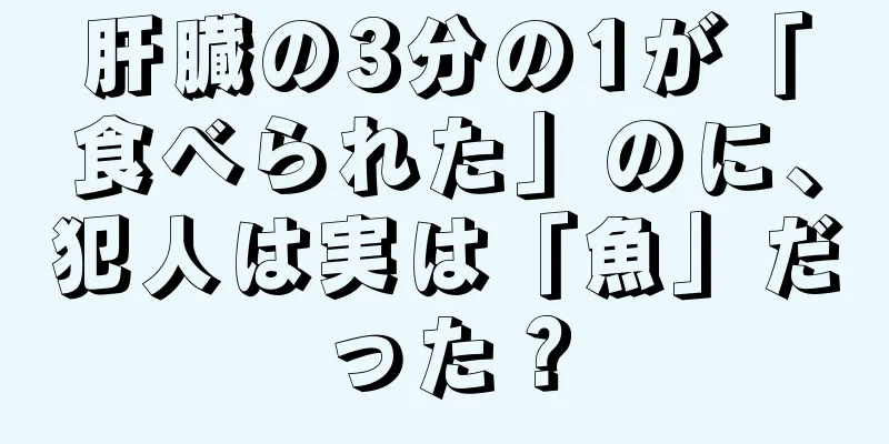 肝臓の3分の1が「食べられた」のに、犯人は実は「魚」だった？