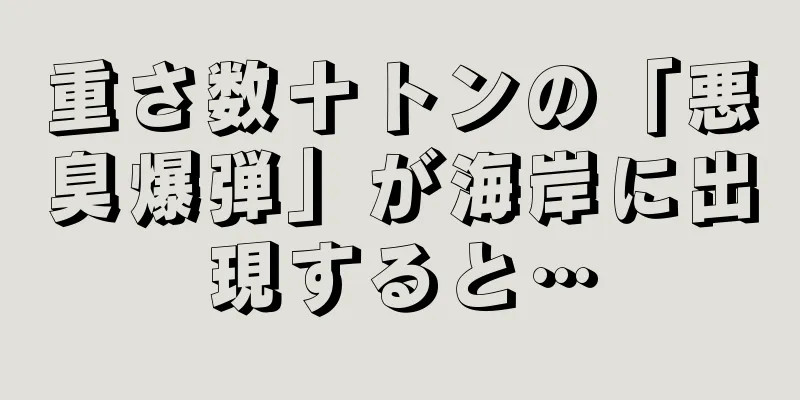 重さ数十トンの「悪臭爆弾」が海岸に出現すると…