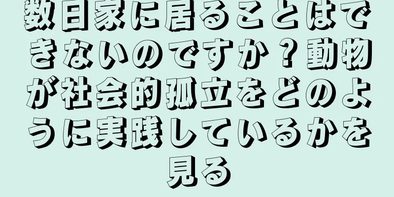 数日家に居ることはできないのですか？動物が社会的孤立をどのように実践しているかを見る