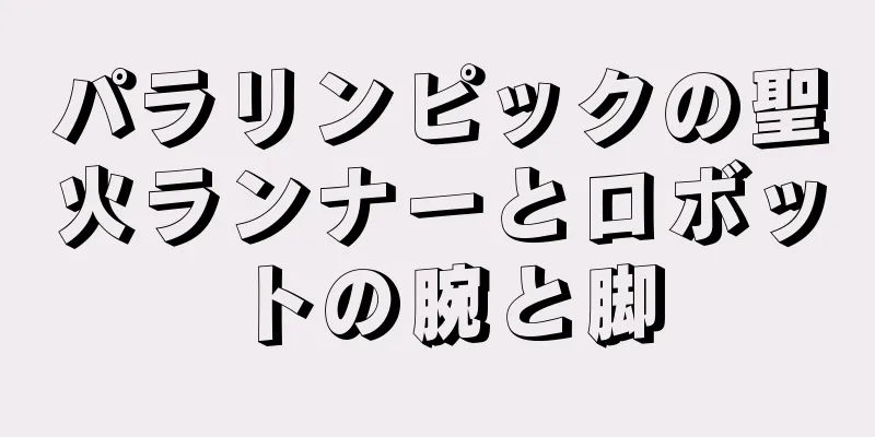 パラリンピックの聖火ランナーとロボットの腕と脚