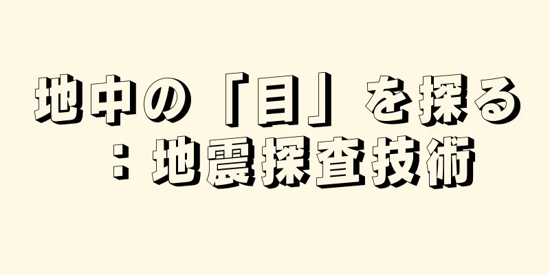 地中の「目」を探る：地震探査技術