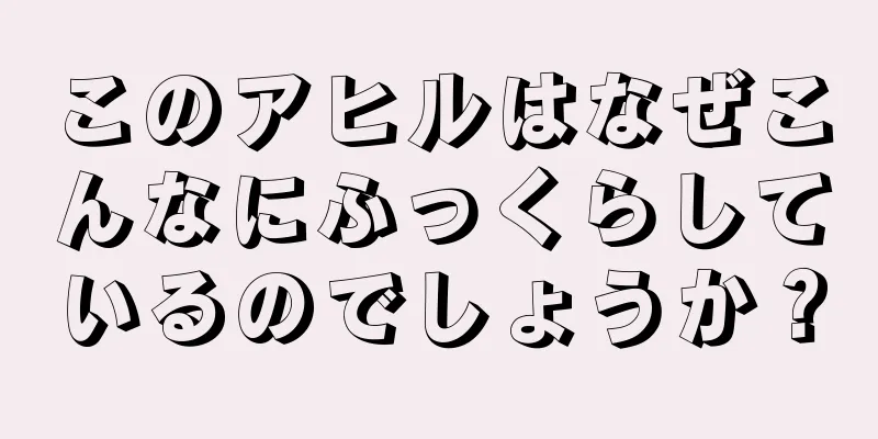 このアヒルはなぜこんなにふっくらしているのでしょうか？