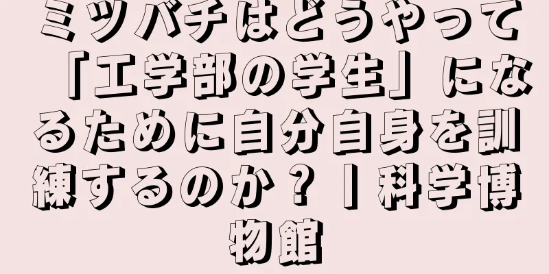 ミツバチはどうやって「工学部の学生」になるために自分自身を訓練するのか？丨科学博物館