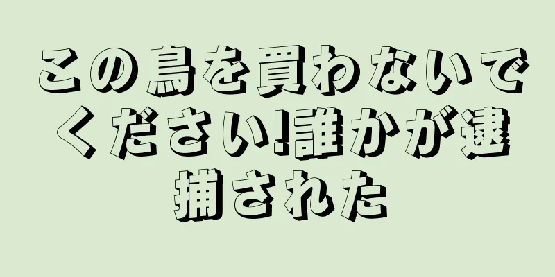 この鳥を買わないでください!誰かが逮捕された