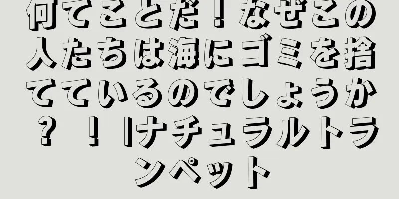何てことだ！なぜこの人たちは海にゴミを捨てているのでしょうか？ ！ |ナチュラルトランペット