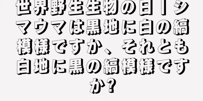 世界野生生物の日丨シマウマは黒地に白の縞模様ですか、それとも白地に黒の縞模様ですか?