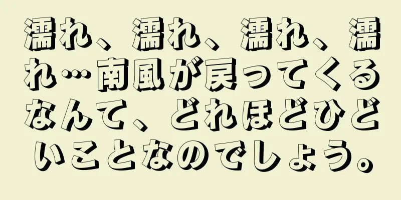 濡れ、濡れ、濡れ、濡れ…南風が戻ってくるなんて、どれほどひどいことなのでしょう。