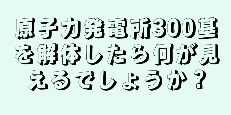 原子力発電所300基を解体したら何が見えるでしょうか？