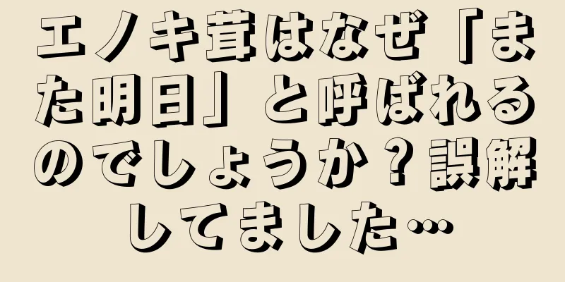 エノキ茸はなぜ「また明日」と呼ばれるのでしょうか？誤解してました…