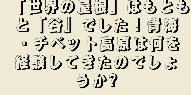 「世界の屋根」はもともと「谷」でした！青海・チベット高原は何を経験してきたのでしょうか?