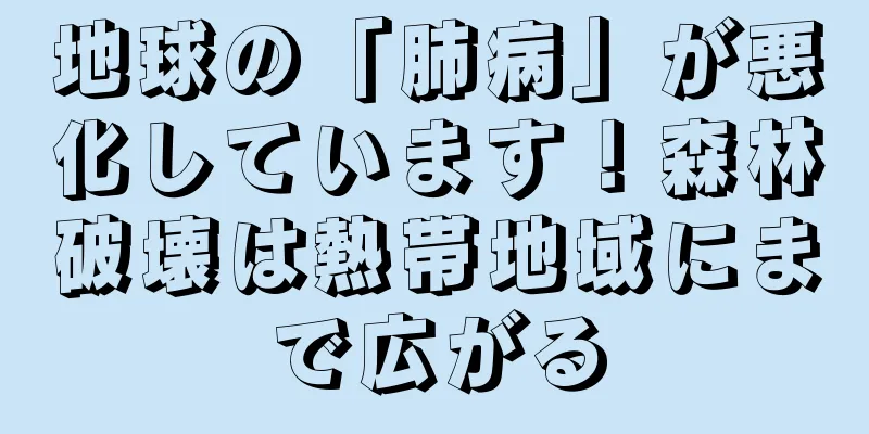 地球の「肺病」が悪化しています！森林破壊は熱帯地域にまで広がる
