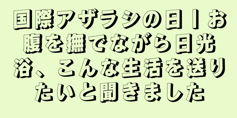 国際アザラシの日丨お腹を撫でながら日光浴、こんな生活を送りたいと聞きました
