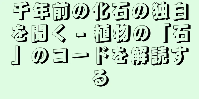 千年前の化石の独白を聞く - 植物の「石」のコードを解読する