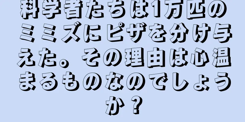 科学者たちは1万匹のミミズにピザを分け与えた。その理由は心温まるものなのでしょうか？