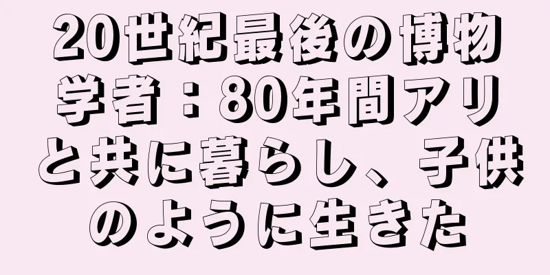 20世紀最後の博物学者：80年間アリと共に暮らし、子供のように生きた