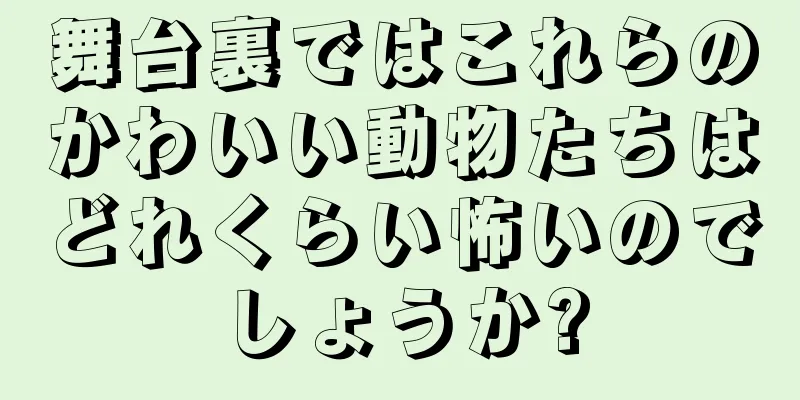 舞台裏ではこれらのかわいい動物たちはどれくらい怖いのでしょうか?