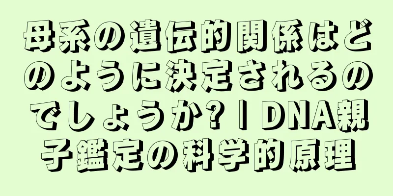 母系の遺伝的関係はどのように決定されるのでしょうか? | DNA親子鑑定の科学的原理