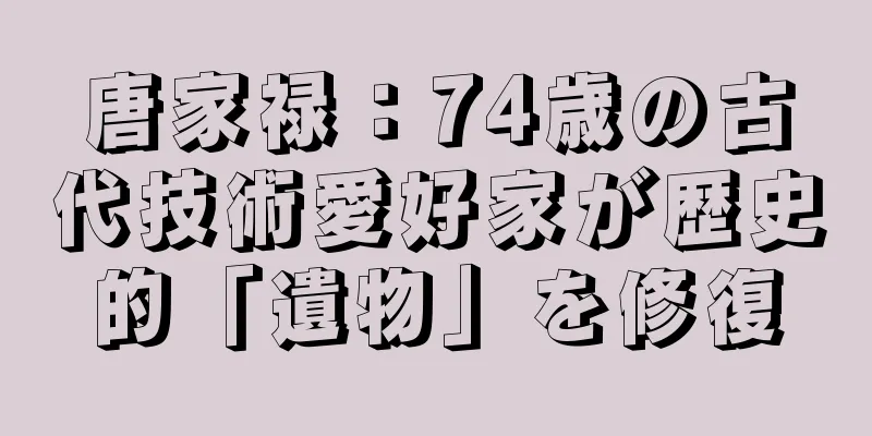 唐家禄：74歳の古代技術愛好家が歴史的「遺物」を修復