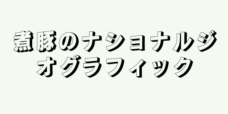 煮豚のナショナルジオグラフィック