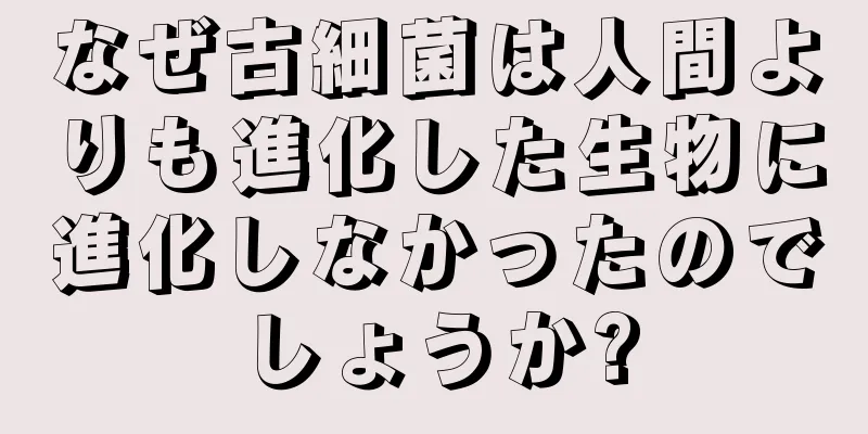 なぜ古細菌は人間よりも進化した生物に進化しなかったのでしょうか?