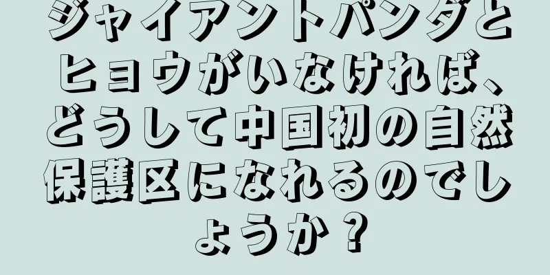ジャイアントパンダとヒョウがいなければ、どうして中国初の自然保護区になれるのでしょうか？