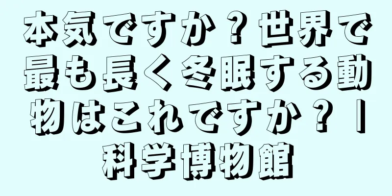 本気ですか？世界で最も長く冬眠する動物はこれですか？ |科学博物館
