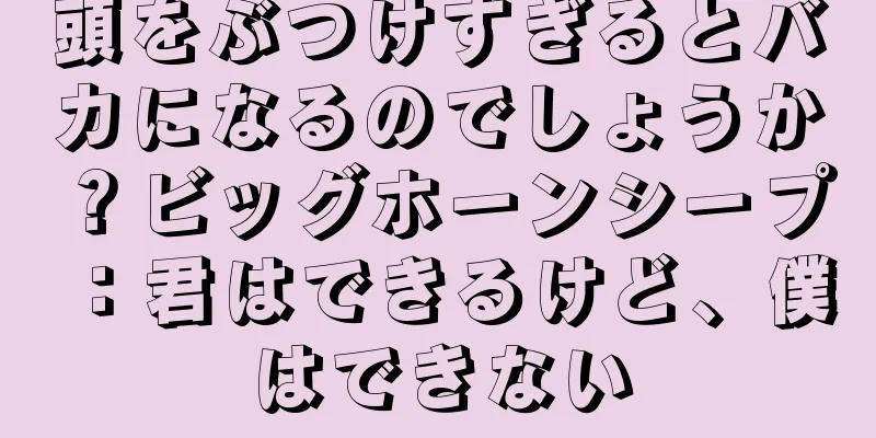 頭をぶつけすぎるとバカになるのでしょうか？ビッグホーンシープ：君はできるけど、僕はできない