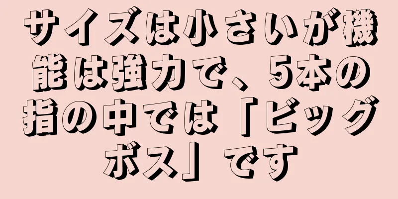 サイズは小さいが機能は強力で、5本の指の中では「ビッグボス」です