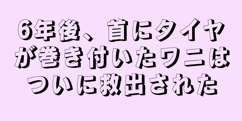 6年後、首にタイヤが巻き付いたワニはついに救出された