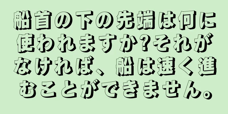 船首の下の先端は何に使われますか?それがなければ、船は速く進むことができません。