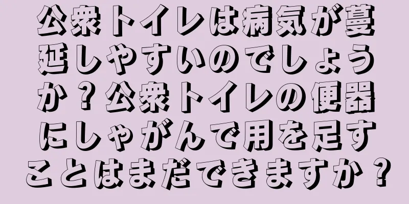 公衆トイレは病気が蔓延しやすいのでしょうか？公衆トイレの便器にしゃがんで用を足すことはまだできますか？