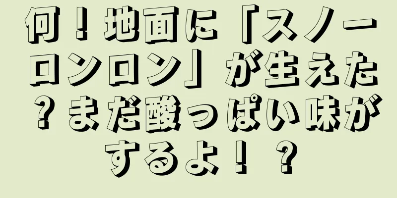 何！地面に「スノーロンロン」が生えた？まだ酸っぱい味がするよ！ ?