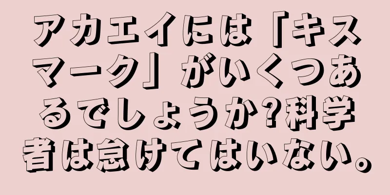 アカエイには「キスマーク」がいくつあるでしょうか?科学者は怠けてはいない。