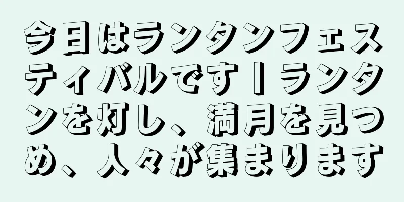 今日はランタンフェスティバルです丨ランタンを灯し、満月を見つめ、人々が集まります