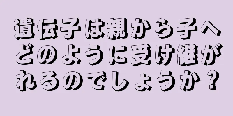 遺伝子は親から子へどのように受け継がれるのでしょうか？