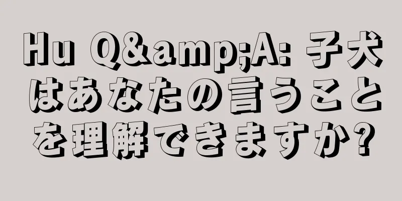 Hu Q&A: 子犬はあなたの言うことを理解できますか?