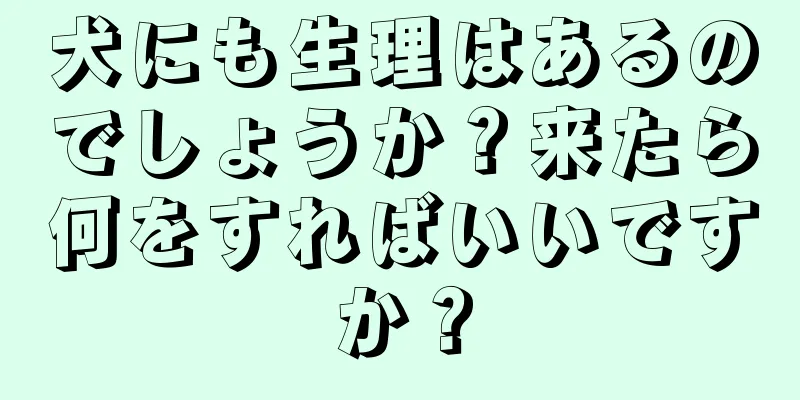 犬にも生理はあるのでしょうか？来たら何をすればいいですか？