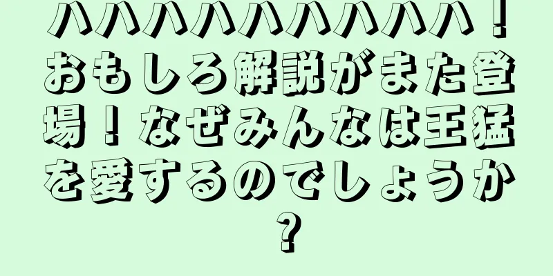 ハハハハハハハハハ！おもしろ解説がまた登場！なぜみんなは王猛を愛するのでしょうか？