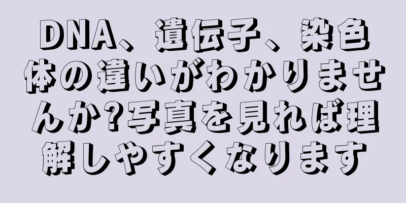 DNA、遺伝子、染色体の違いがわかりませんか?写真を見れば理解しやすくなります