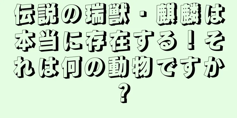 伝説の瑞獣・麒麟は本当に存在する！それは何の動物ですか？