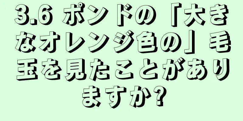 3.6 ポンドの「大きなオレンジ色の」毛玉を見たことがありますか?