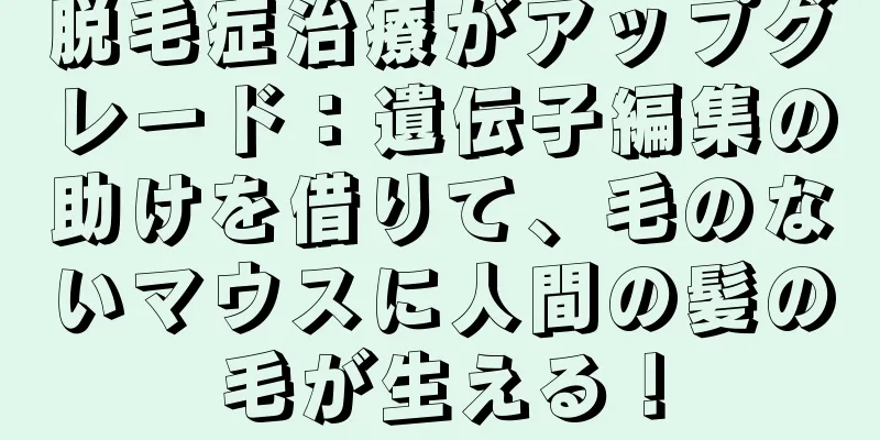 脱毛症治療がアップグレード：遺伝子編集の助けを借りて、毛のないマウスに人間の髪の毛が生える！