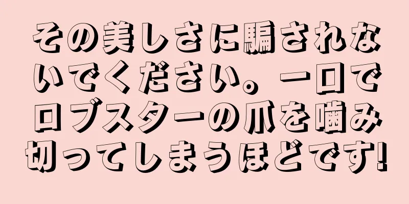 その美しさに騙されないでください。一口でロブスターの爪を噛み切ってしまうほどです!