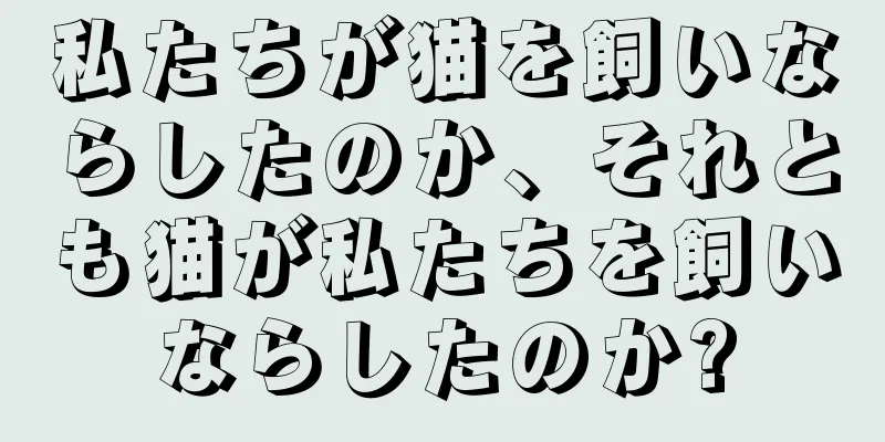 私たちが猫を飼いならしたのか、それとも猫が私たちを飼いならしたのか?