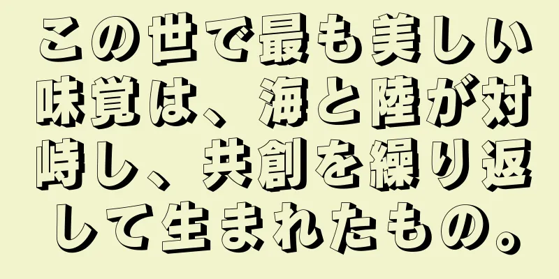 この世で最も美しい味覚は、海と陸が対峙し、共創を繰り返して生まれたもの。
