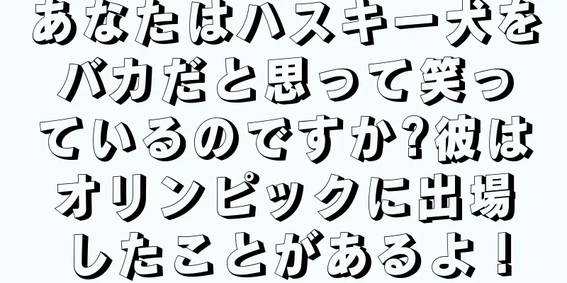 あなたはハスキー犬をバカだと思って笑っているのですか?彼はオリンピックに出場したことがあるよ！