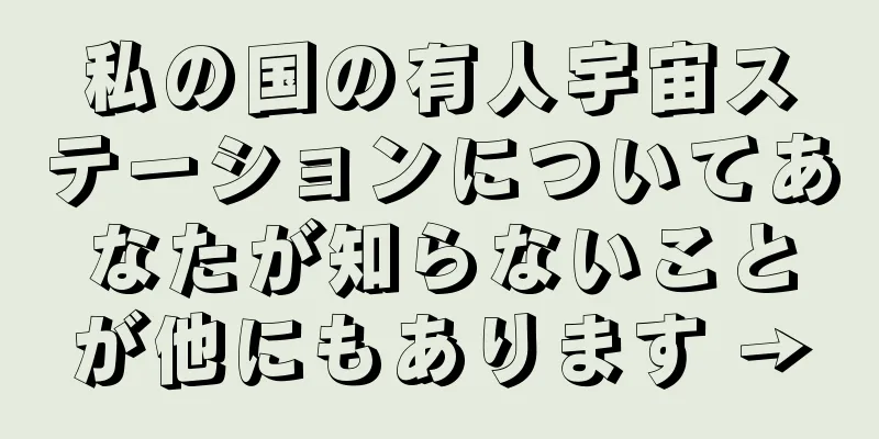 私の国の有人宇宙ステーションについてあなたが知らないことが他にもあります →