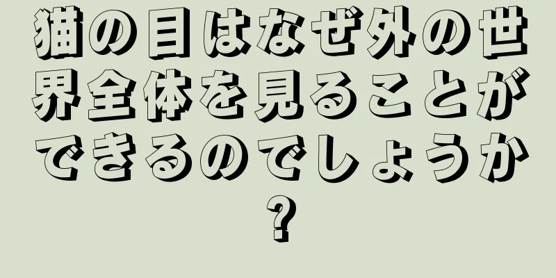 猫の目はなぜ外の世界全体を見ることができるのでしょうか?