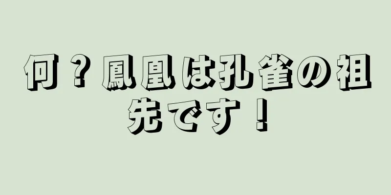何？鳳凰は孔雀の祖先です！