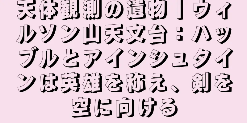 天体観測の遺物丨ウィルソン山天文台：ハッブルとアインシュタインは英雄を称え、剣を空に向ける
